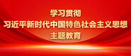 黄色网站美女搞逼的学习贯彻习近平新时代中国特色社会主义思想主题教育_fororder_ad-371X160(2)